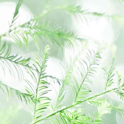 烽火连城游戏